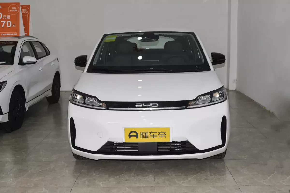 BYD D1