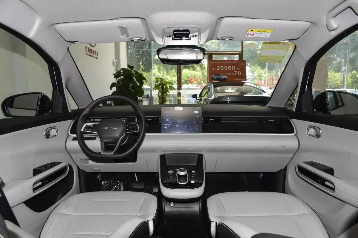 BYD D1 салон 1