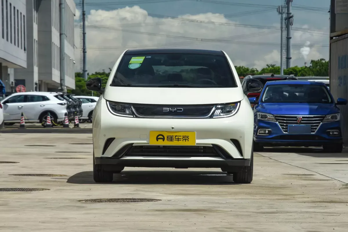 BYD Dolphin