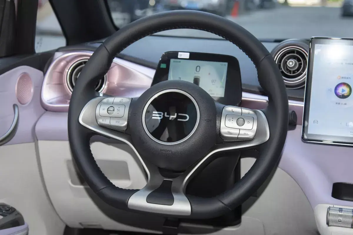 BYD Dolphin салон 3