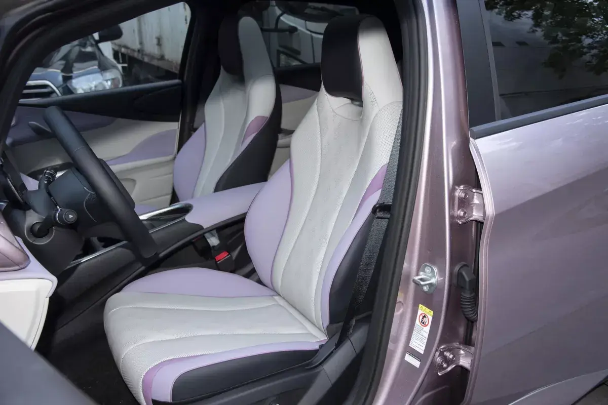 BYD Dolphin салон 6