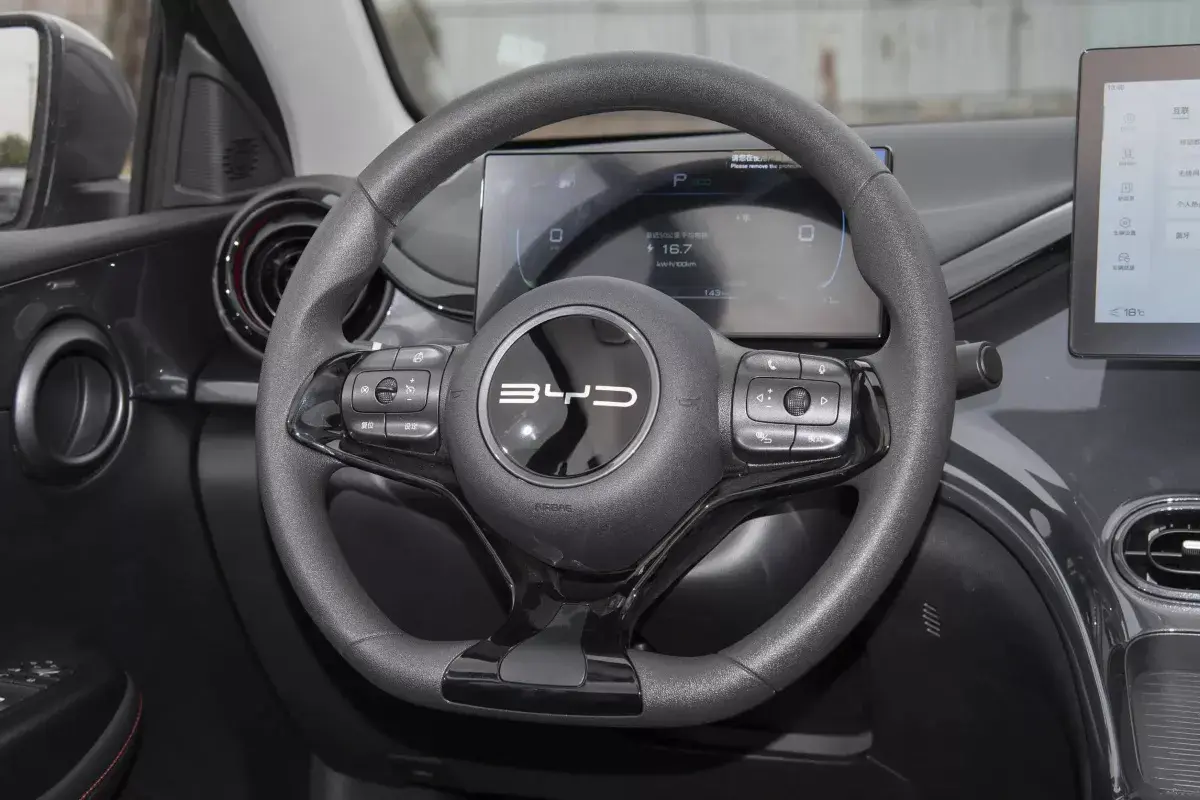 BYD E2 салон 3