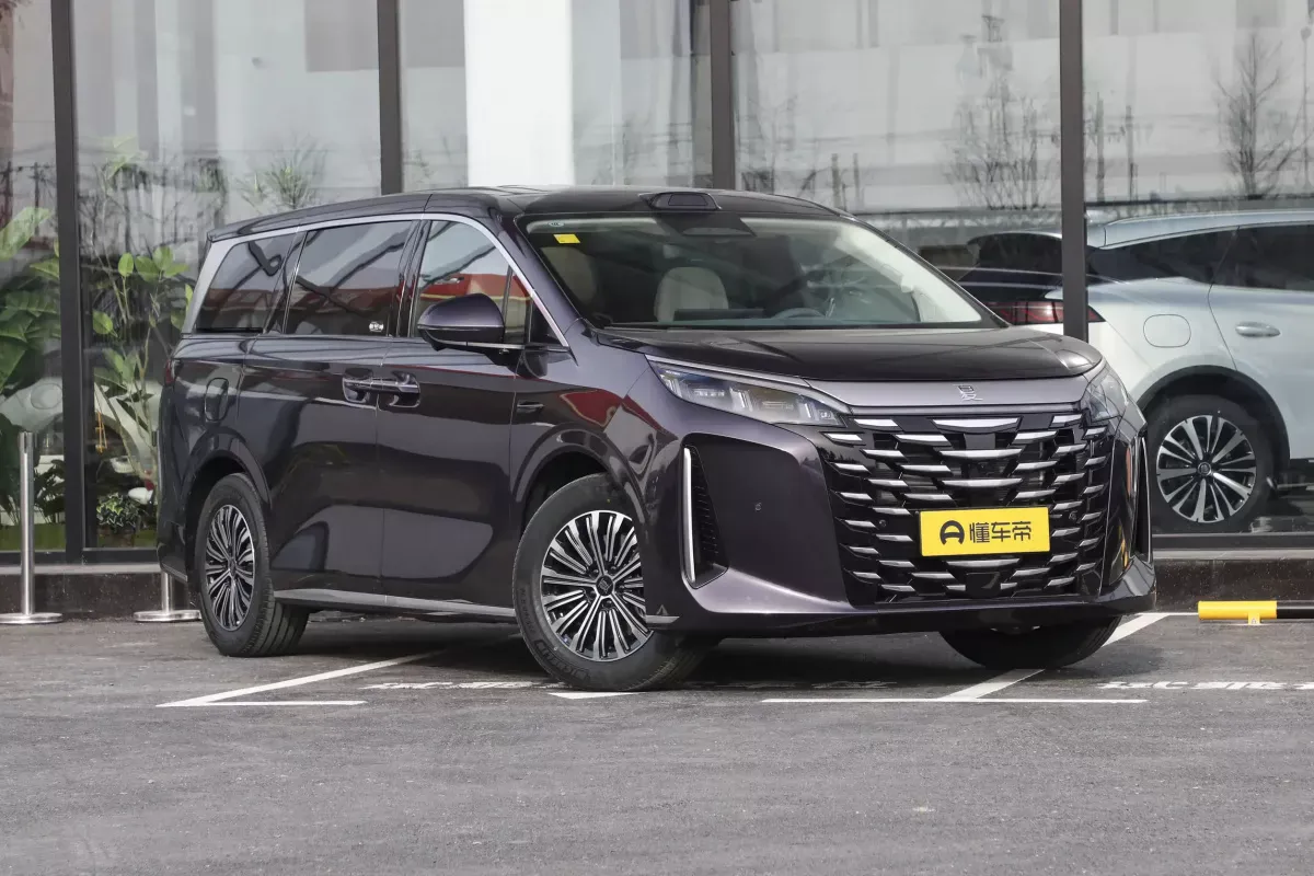 BYD Summer DM-i фото 2