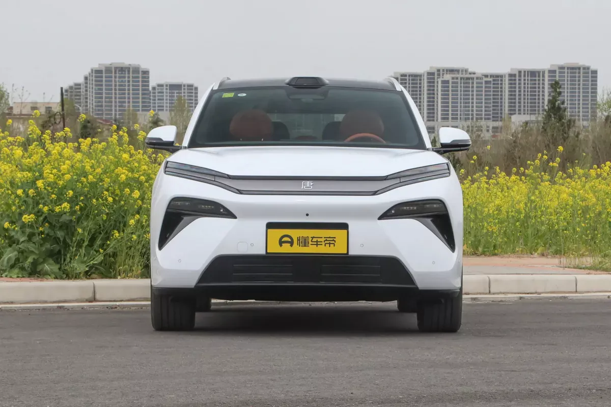 BYD Tang L DM