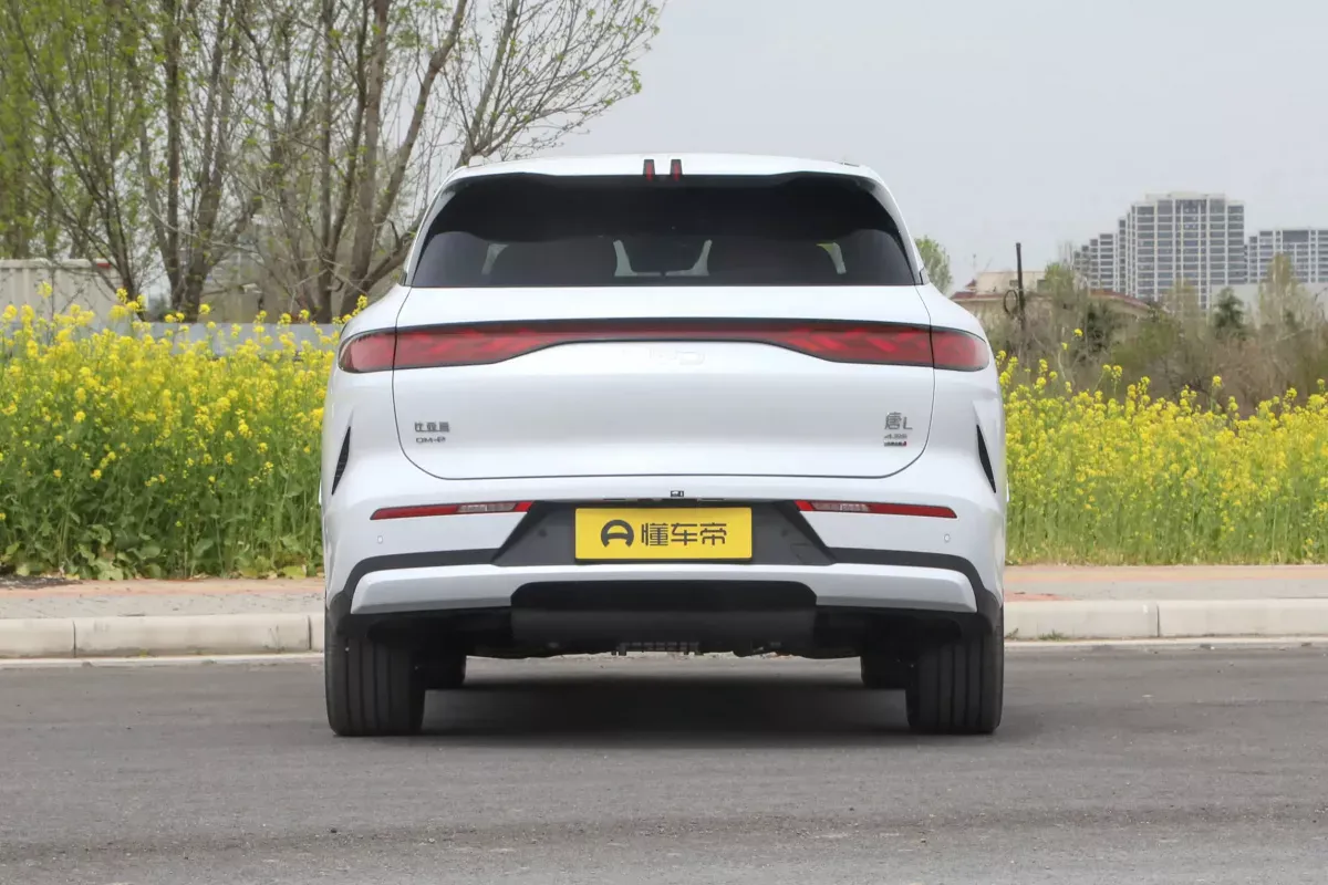 BYD Tang L DM фото 4