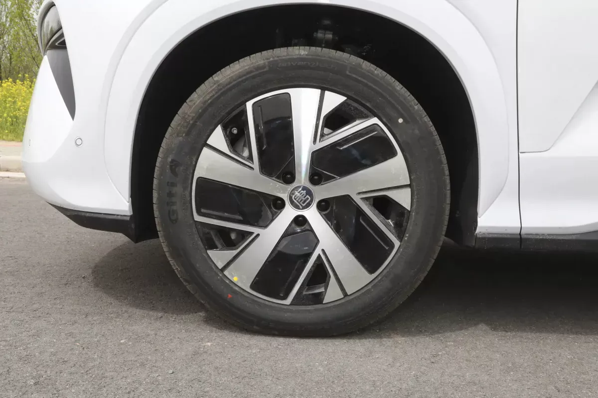 BYD Tang L DM фото 6