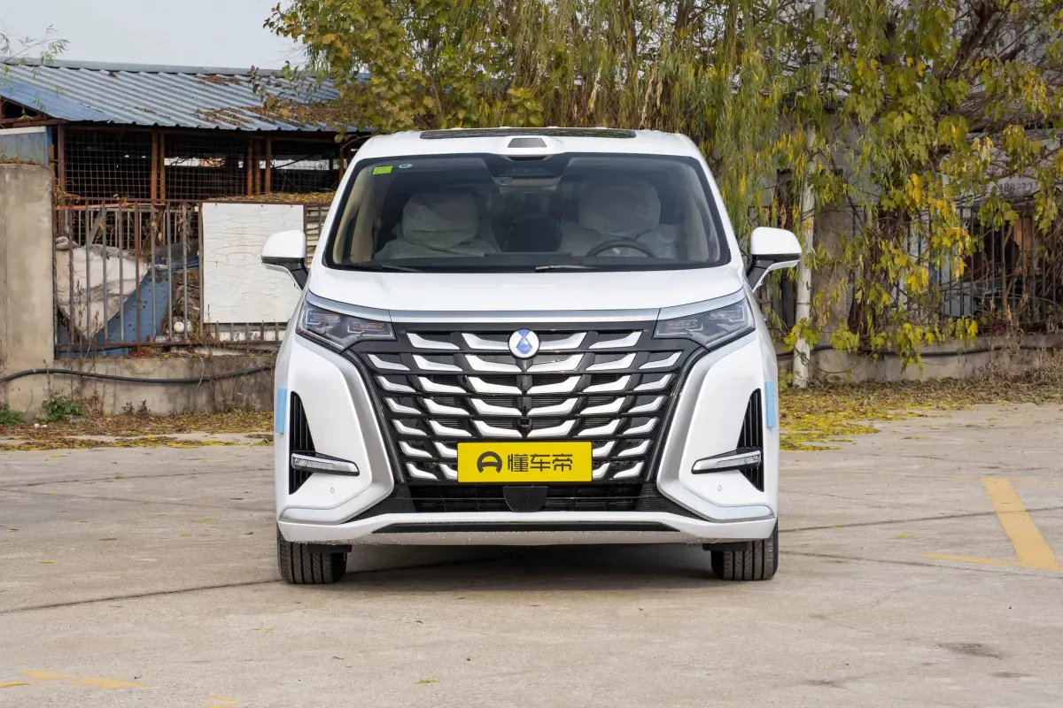 Denza D9 DM-i