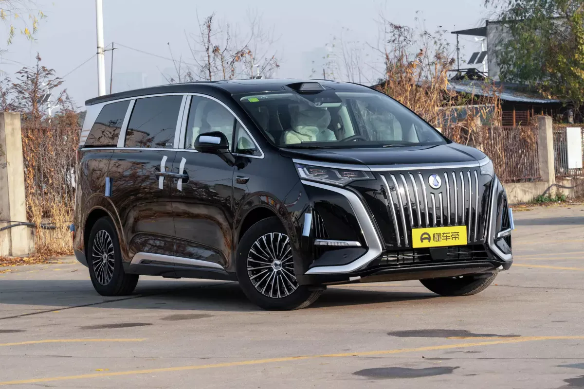 Denza D9 фото 2