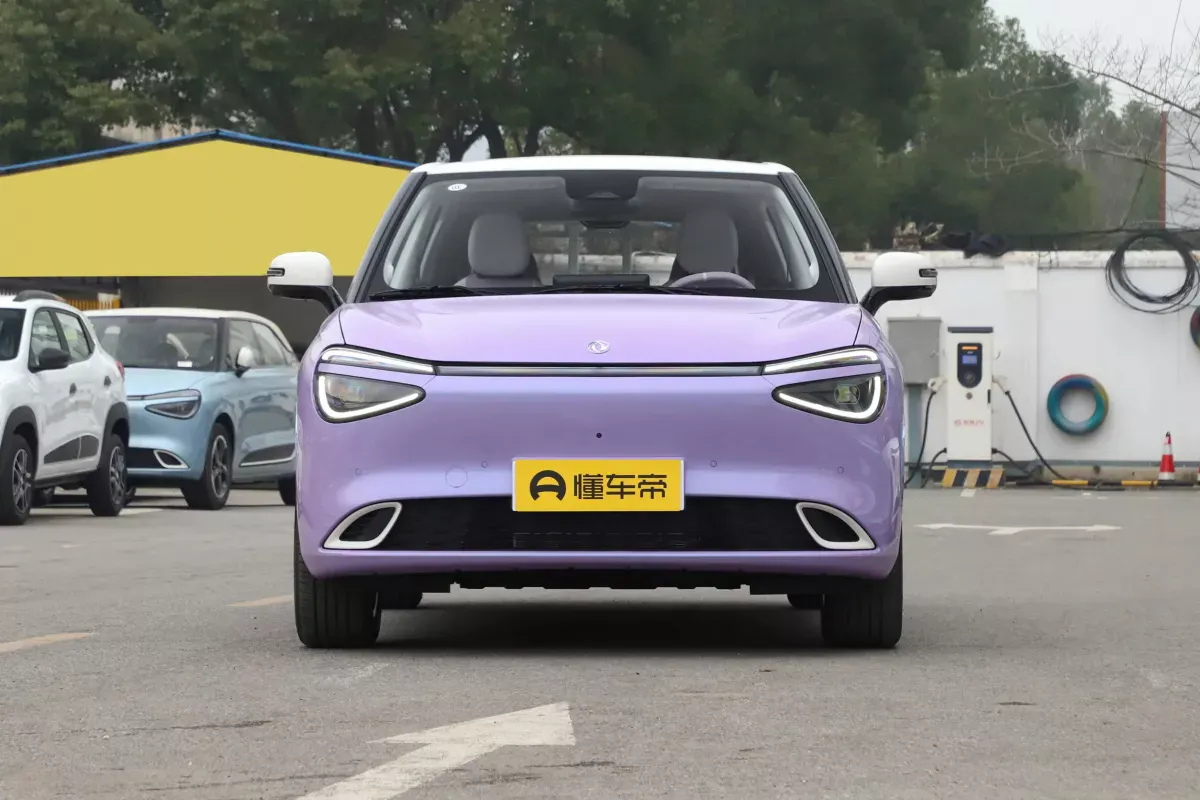 Dongfeng Nammi 01