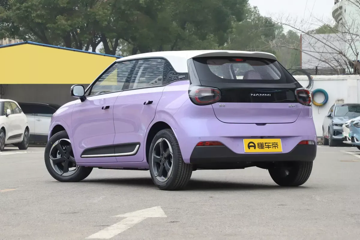 Dongfeng Nammi 01 фото 3