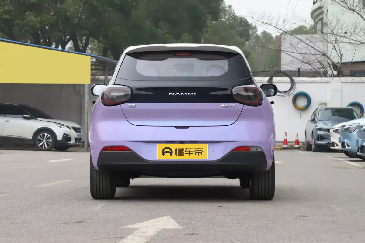 Dongfeng Nammi 01 фото 4