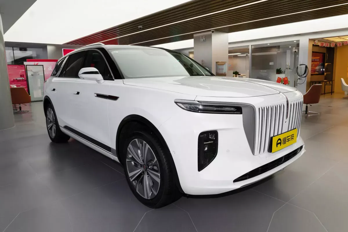 Hongqi E-HS9 фото 2