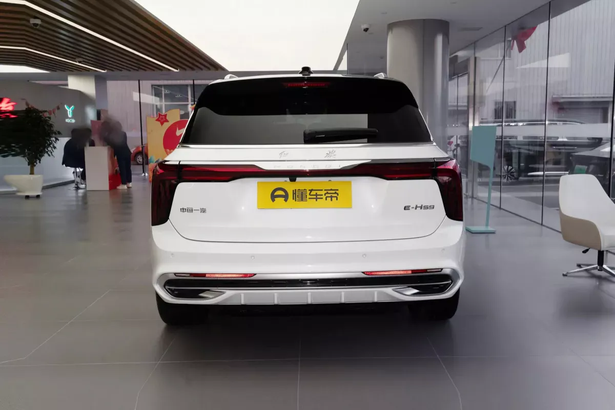 Hongqi E-HS9 фото 4