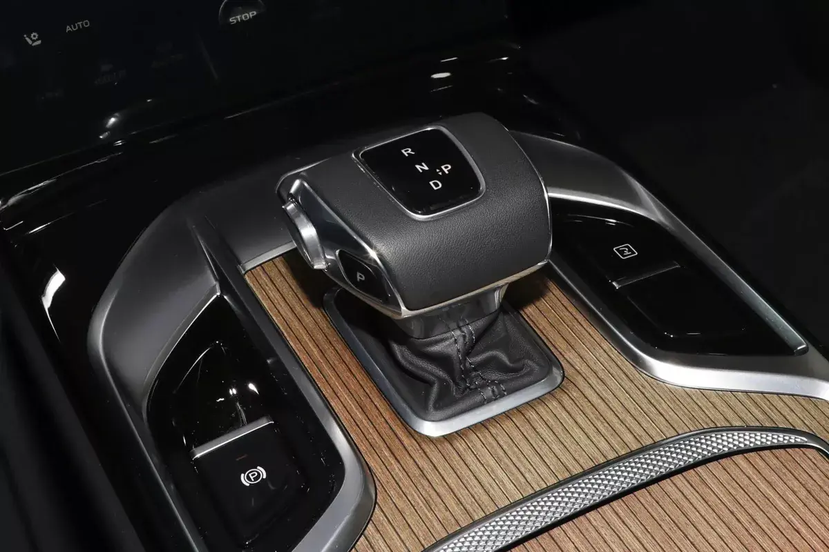 Hongqi E-HS9 салон 4