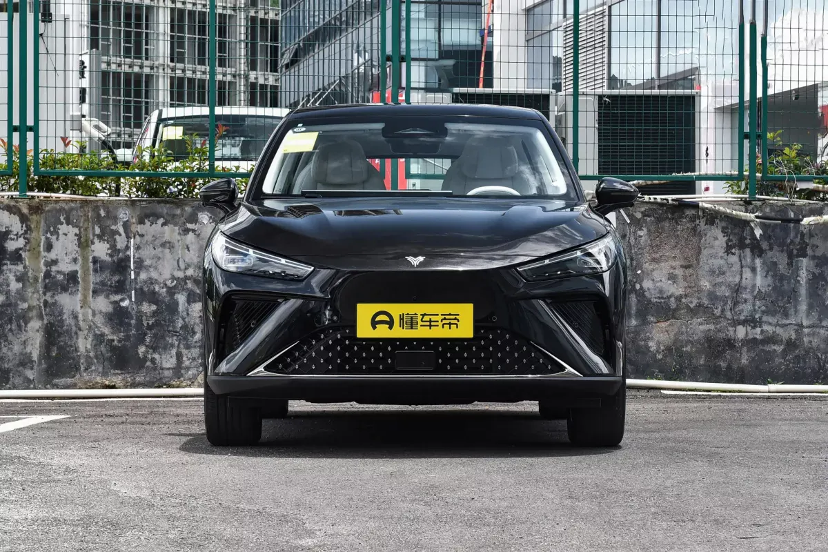 Neta L