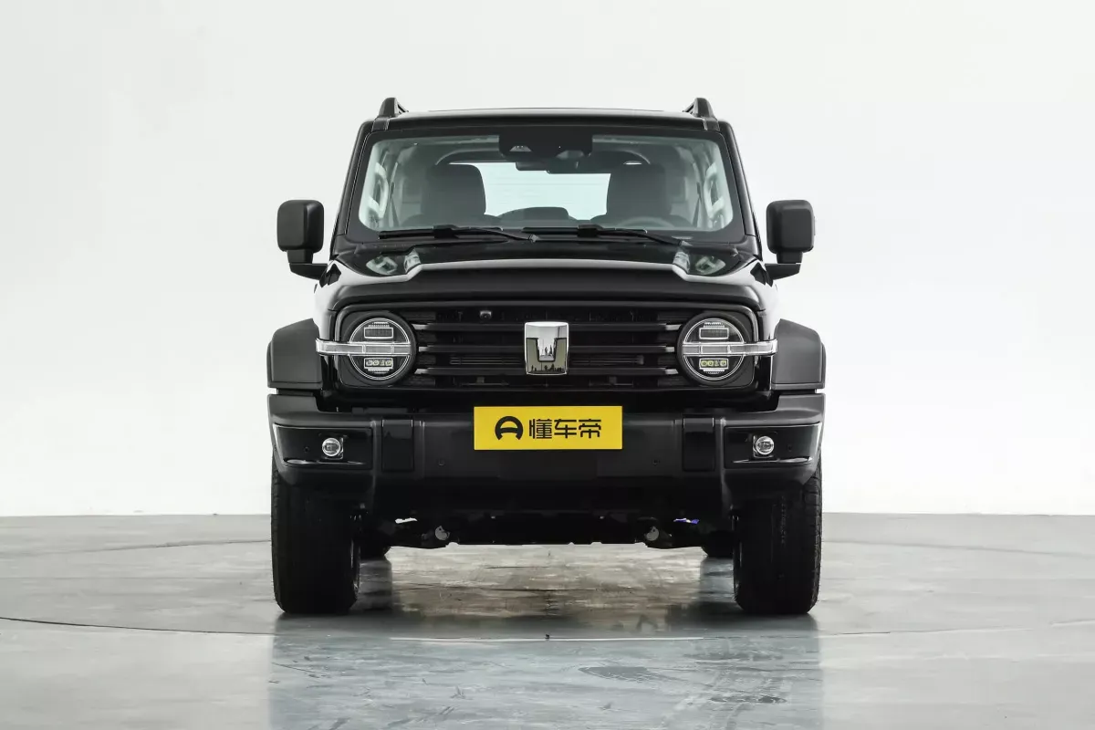 Tank 300 Hi4-T